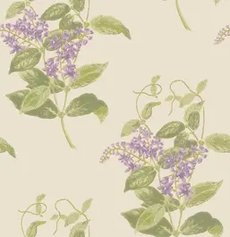  Cole&Son Archive Anthology 100/12056
