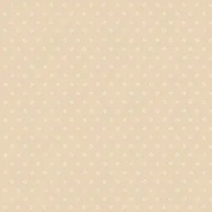  Cole&Son Archive Anthology 100/7034 -  1