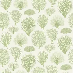  Cole&Son Curio 107/2008
