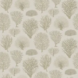 Обои Cole&Son Curio 107/2010 - фото 1