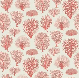  Cole&Son Curio 107/2011 -  1