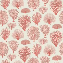  Cole&Son Curio 107/2011