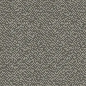 Обои Cole&Son Curio 107/4017 - фото 1