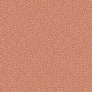  Cole&Son Curio 107/4018 -  1