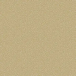 Cole&Son Curio 107/4021 -  1