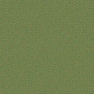  Cole&Son Curio 107/4022 -  1