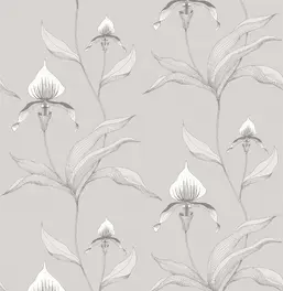  Cole&Son Contemporary Restyled 95/10055