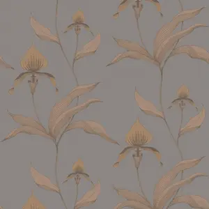  Cole&Son Contemporary Restyled 95/10056 -  1