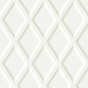  Cole&Son Contemporary Restyled 95/11060 -  1