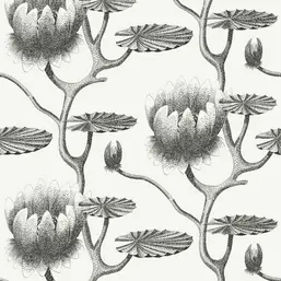  Cole&Son Contemporary Restyled 95/4020