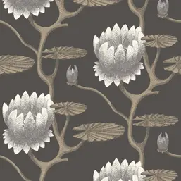  Cole&Son Contemporary Restyled 95/4026