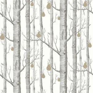  Cole&Son Contemporary Restyled 95/5027 -  1