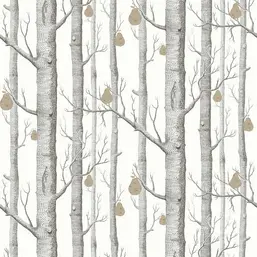  Cole&Son Contemporary Restyled 95/5027