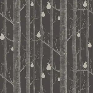  Cole&Son Contemporary Restyled 95/5031 -  1