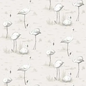  Cole&Son Contemporary Restyled 95/8046 -  1