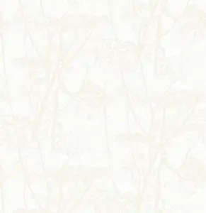  Cole&Son Contemporary Restyled 95/9052 -  1