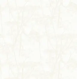  Cole&Son Contemporary Restyled 95/9052