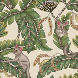 ���� Cole&Son Admore - Jabula 119-7035