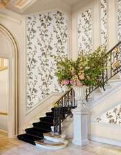 ���� Cole&Son Classics Vol.II 128-3015 - ���� 11