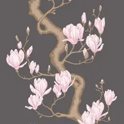  Cole&Son Classics Vol.II 128-1001