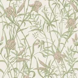 ���� Cole&Son Classics Vol.II 128-5025