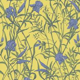 ���� Cole&Son Classics Vol.II 128-5027
