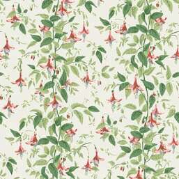 ���� Cole&Son Classics Vol.II 128-6028