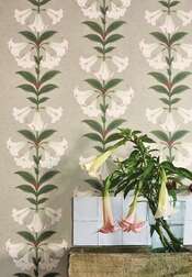 ���� Cole&Son Seville 117-12037 - ���� 26