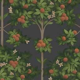 ���� Cole&Son Seville 117-1003