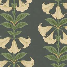 ���� Cole&Son Seville 117-3006