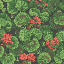 ���� Cole&Son Seville 117-11033
