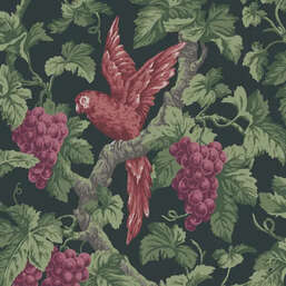 ���� Cole&Son The Pearwood Collection 116-5020