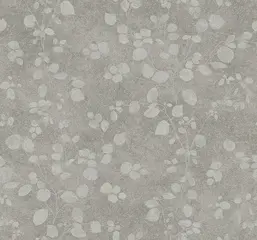  Collins&Company Jupiter TE10007