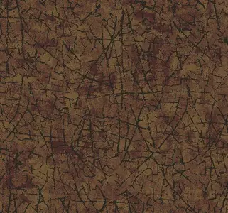  Collins&Company Jupiter TE11216 -  1