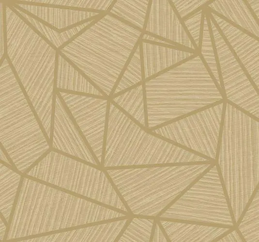  Collins&Company Jupiter TE11305 -  1