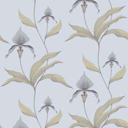 ���� Cole&Son New Contemporary 66/4026