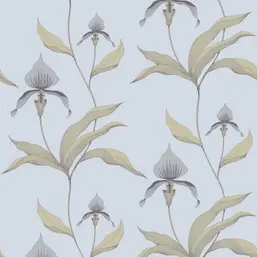  Cole&Son New Contemporary 66/4026