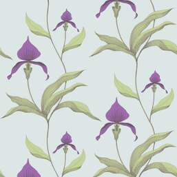 ���� Cole&Son New Contemporary 66/4027