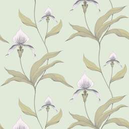 ���� Cole&Son New Contemporary 66/4028