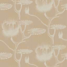 ���� Cole&Son New Contemporary II 69/3113