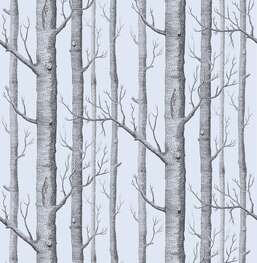 ���� Cole&Son New Contemporary II 69/12150