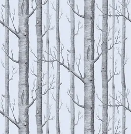  Cole&Son New Contemporary II 69/12150