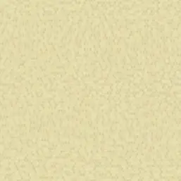  Collins&Company Gatsby GA30103