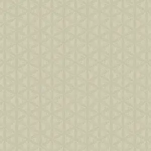  Collins&Company Opulent ON40807 -  1