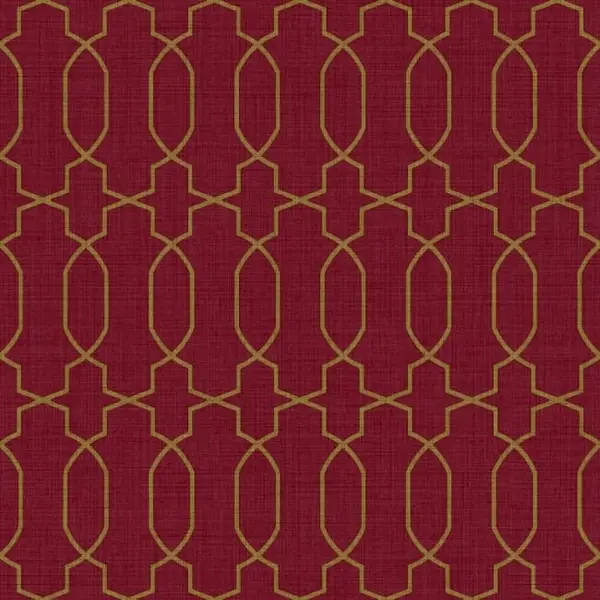  Cristiana Masi Amazzonia 22058 -  1