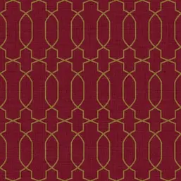  Cristiana Masi Amazzonia 22058