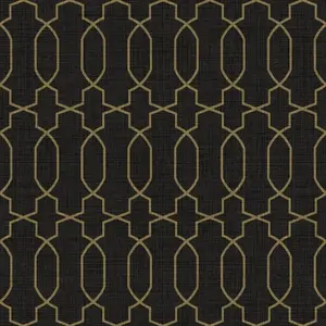  Cristiana Masi Amazzonia 22059 -  1