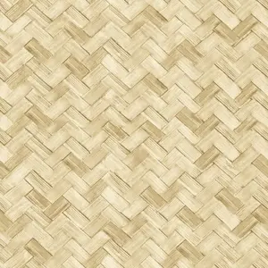  Cristiana Masi Amazzonia 22068 -  1