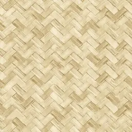  Cristiana Masi Amazzonia 22068
