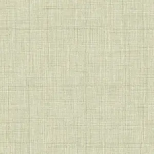  Cristiana Masi Amazzonia 22085 -  1